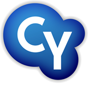 CY Partners logo