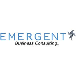 Emergent Business Consulting, LLC logo