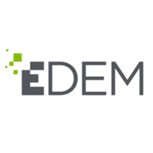 DEM Solutions Ltd. logo