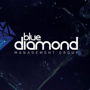 Blue Diamond Management Group logo