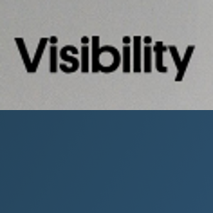 Visibility logo