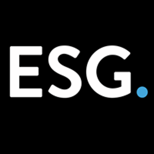 Execution Specialists Group LLC logo