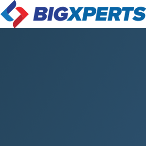 Bigxperts logo