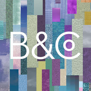 Bailey &amp; Co. logo
