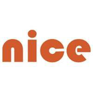 Nimble Code Execution System logo