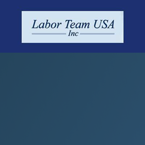 Labor Team USA Inc logo