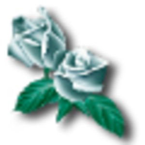 White Rose Translations Ltd logo
