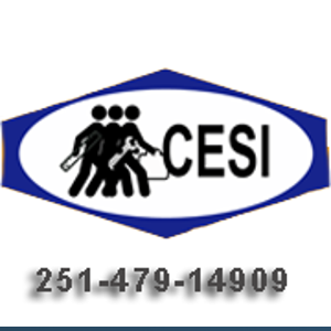 Complete Employment Services Inc logo