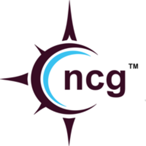 Northshore Consulting Group, LLC. logo