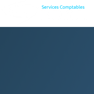 Accounting Services BDGL logo