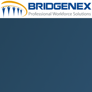 Bridgenex logo