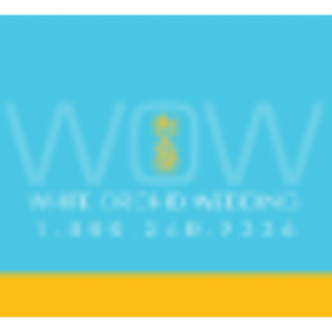 A White Orchid Wedding Inc logo