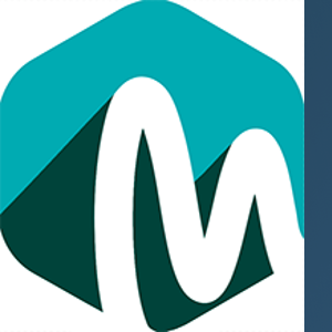 Mon Solution Sdn Bhd logo