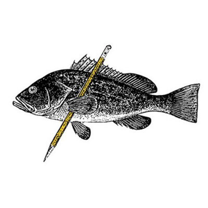 Gil Shuler Graphic Design logo