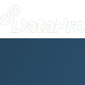 DataPro Services, Inc. logo