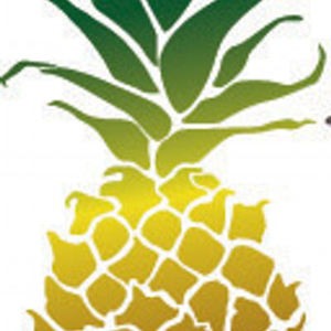 Pineapple Tweed Public Relations and Marketing logo