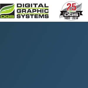 DGS USA logo