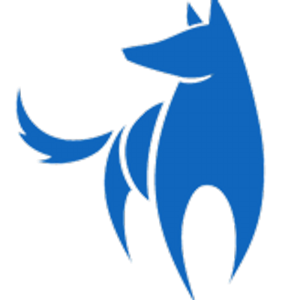 Bright Wolf, LLC logo