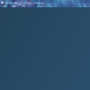 Zivetz Schwartz &amp; Saltsman, CPAs - Forensic Accountants logo