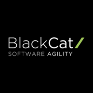 BlackCat Technology Solutions Ltd logo