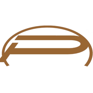 Pionear Recruiting logo