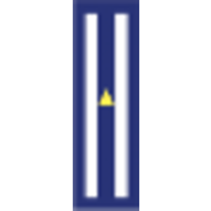 Hutchinson Consulting logo