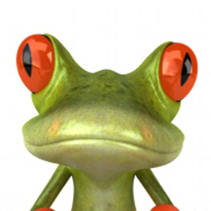 Frogmo logo