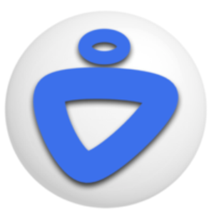 Cingular Inc logo