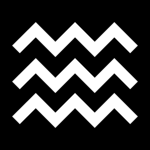 Javary Co. logo