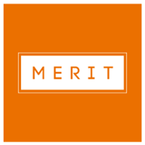 MeritGroup logo
