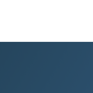 Dixit logo