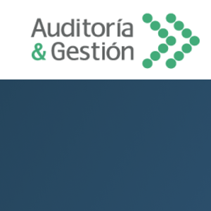 Auditoria &amp; Gestion logo