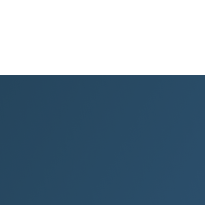 First Principle logo
