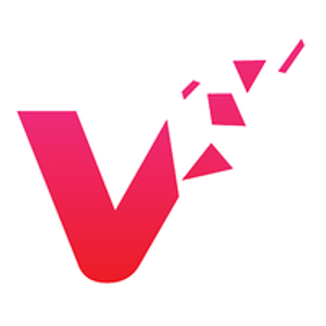 Visual Connections logo