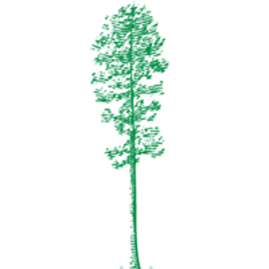 Longleaf Strategies logo