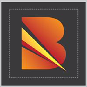 Beetles Cyber Security Ltd. logo