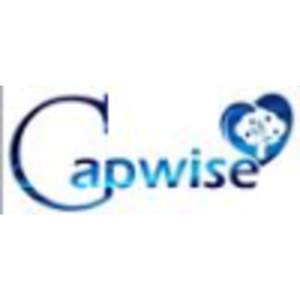 Capwise Digital Media logo
