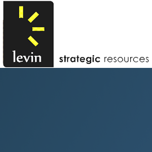 Levin Strategic Resources LLC logo