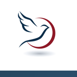 Network Support Co logo