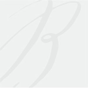 Buchanan Design VA logo