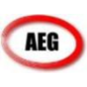 American Engineering Group LLC logo