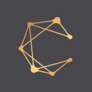 Constellation Agency logo