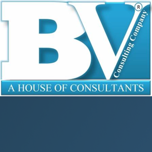 BV Consulting logo