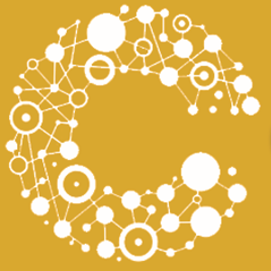 Citizen DataTech Software logo