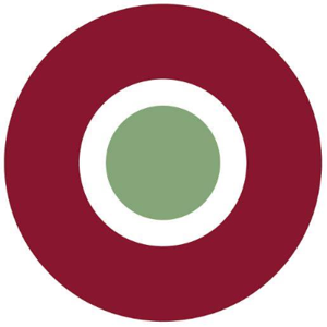 Alison South Marketing Group logo