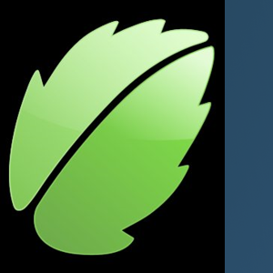 Minnesota Interpreters and Translators logo