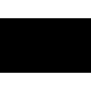 Blank Space LLC logo