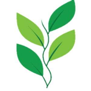 LinkvisionSoft logo