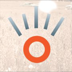 OnSight Public Affairs logo