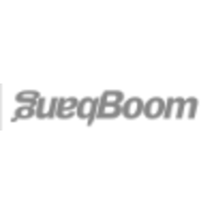 BOOMBANG INC. logo